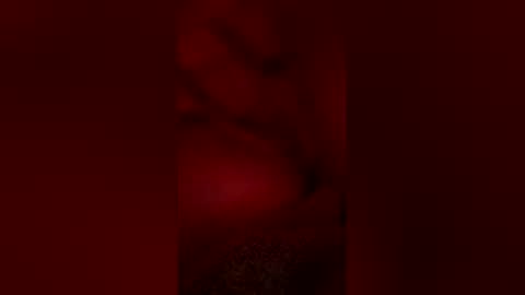 jp0283960 online show from February 2026 07:01:01 AM