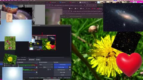 Snapshot of jpsunflower chatting on October 2025 09:09:01 AM JP Sunflower Angel Love online show from October 2025 09:09:01 AM