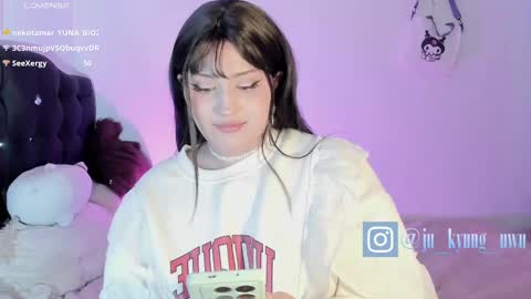 Snapshot of ju_kyung chatting on February 2025 11:04:01 AM Ju Kyung online show from February 2025 11:04:01 AM