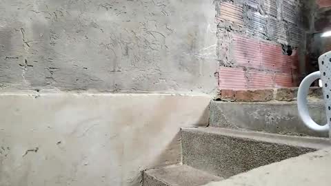 Juanchito393s online show from May 2026 06:46:01 PM