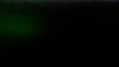 Daddy Tiger online show from January 2025 10:00:02 AM