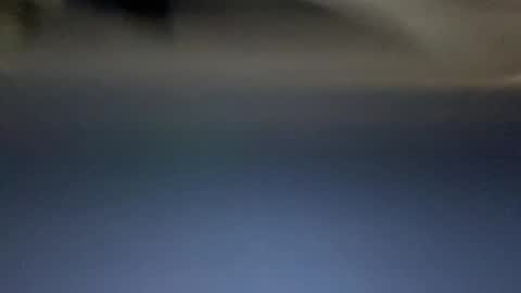 Daddy Tiger online show from September 2025 02:00:02 AM