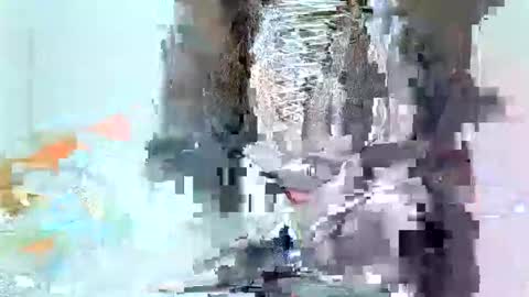 juicyebonitaa online show from November 2025 06:45:01 AM