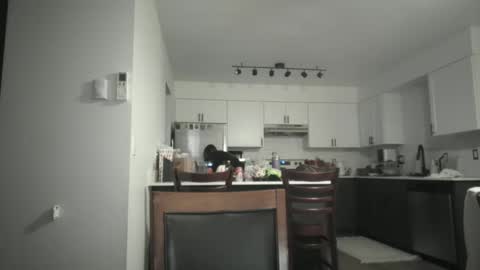 Snapshot of juicysavanah chatting on December 2025 05:05:01 AM Sav online show from December 2025 05:05:01 AM