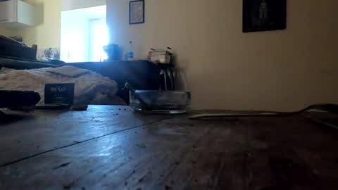 jujusbzh online show from June 2026 09:34:01 AM