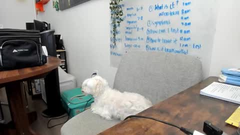 Jules online show from March 2026 05:40:02 PM