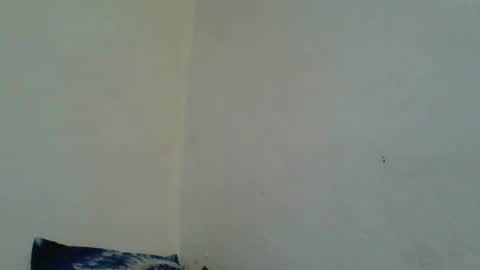 Snapshot of juliexexy chatting on February 2025 12:33:01 PM juliexexy online show from February 2025 12:33:01 PM