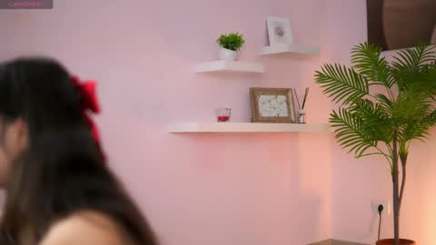Foxy online show from May 2026 10:43:02 AM