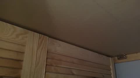 Gregor online show from October 2025 07:27:02 AM