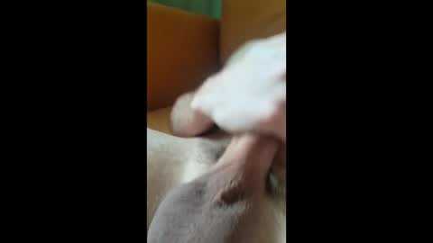 jungle121729 online show from January 2026 11:34:02 AM