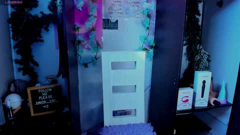 Snapshot of juniior0_0 chatting on March 2025 08:56:01 PM Junior online show from March 2025 08:56:01 PM