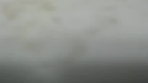 Snapshot of junk_yard_dog chatting on October 2025 01:55:02 PM Dave online show from October 2025 01:55:02 PM