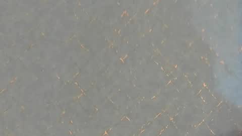 junosomnum online show from March 2025 01:53:02 AM