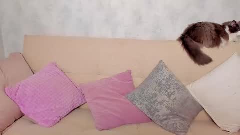 Snapshot of just_alex__ chatting on June 2026 01:15:01 AM Alex Alexandra online show from June 2026 01:15:01 AM