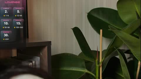 Snapshot of just_dakota_ chatting on March 2026 07:53:01 AM just_dakota_ online show from March 2026 07:53:01 AM