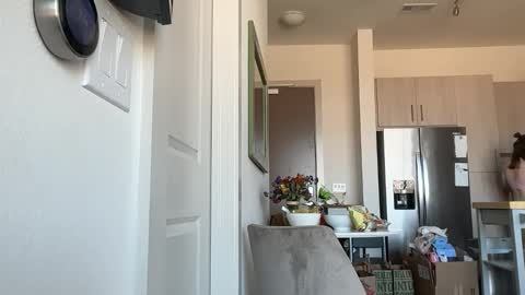 Stella online show from February 2026 09:43:01 PM