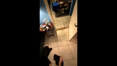 Snapshot of justboredandlonely239041 chatting on December 2024 12:57:02 AM BIGDICKJOHNNY online show from December 2024 12:57:02 AM