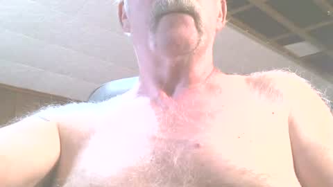 justdon online show from June 2026 02:41:02 PM