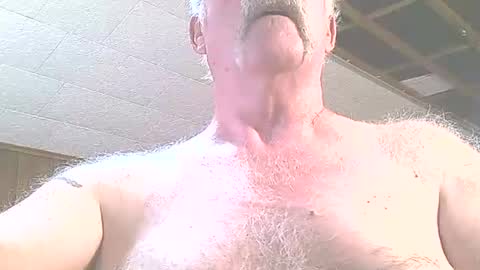 justdon online show from June 2026 03:33:01 PM