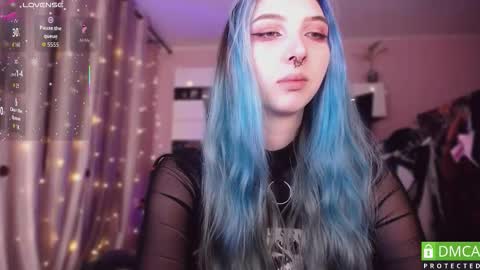 justmeowgirl online show from February 2026 04:39:02 AM