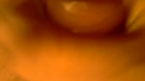Snapshot of kaatingen chatting on September 2025 12:10:02 PM kaatingen online show from September 2025 12:10:02 PM