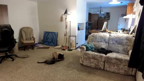 Kaiku77 online show from January 2026 08:01:01 PM