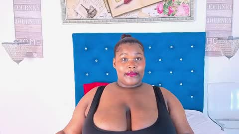 kammytorrez online show from May 2026 04:19:01 AM