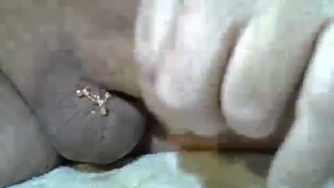 Snapshot of kangarooh66 chatting on November 2025 07:52:02 AM Kangarooh66 online show from November 2025 07:52:02 AM