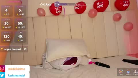 Snapshot of karimee15 chatting on February 2025 12:04:02 AM Karime online show from February 2025 12:04:02 AM