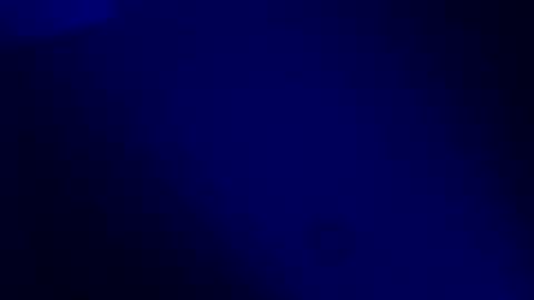 Karla Gonzaless online show from November 2025 07:30:02 AM