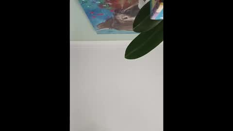 Snapshot of karnathra chatting on April 2026 03:50:02 PM karnathra online show from April 2026 03:50:02 PM