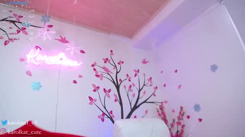 Karolina 3 online show from December 2024 05:26:02 PM