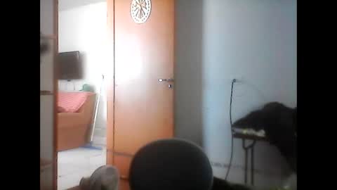 Snapshot of kasadocarente chatting on January 2026 04:22:02 PM kasadocarente online show from January 2026 04:22:02 PM