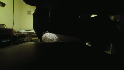 Stojko online show from October 2025 08:09:02 PM