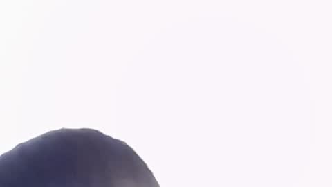 Help me with rate thanks  online show from November 2025 06:29:02 PM