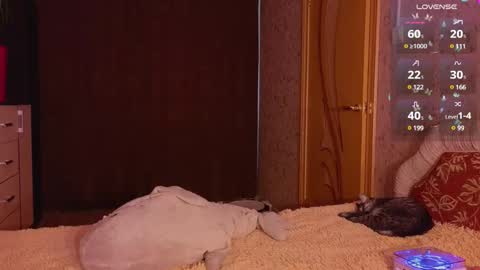 Kate online show from December 2024 01:02:02 AM