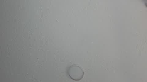 Snapshot of katestone_again chatting on January 2025 03:32:02 PM love meeee online show from January 2025 03:32:02 PM