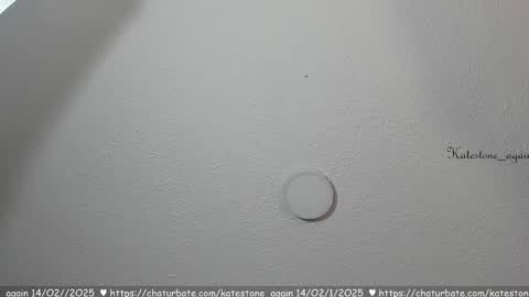 Snapshot of katestone_again chatting on February 2025 07:44:01 PM love meeee online show from February 2025 07:44:01 PM