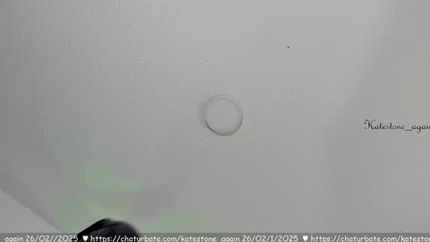 Snapshot of katestone_again chatting on February 2025 02:14:02 PM love meeee online show from February 2025 02:14:02 PM