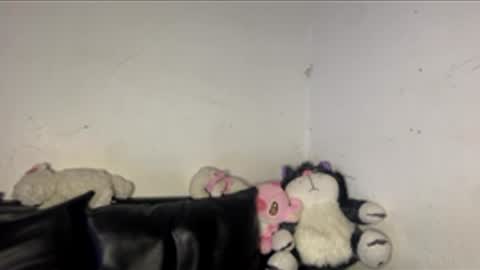 kattia online show from March 2026 03:23:01 AM