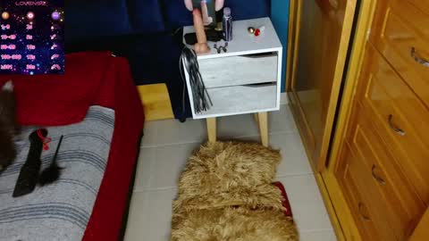 Snapshot of katty_berry_ chatting on December 2024 07:38:02 PM Arianna online show from December 2024 07:38:02 PM