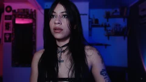      online show from February 2026 12:10:01 PM