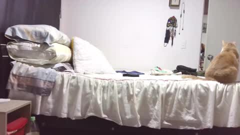  Khawit  online show from October 2025 12:07:02 PM