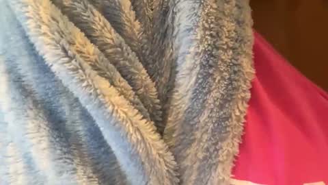 Snapshot of keephimcum69me chatting on September 2025 07:26:01 PM Keephimcum69me online show from September 2025 07:26:01 PM