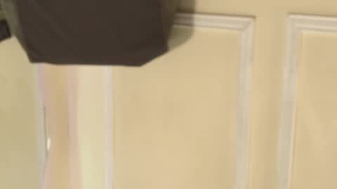 keila online show from October 2025 12:13:02 PM