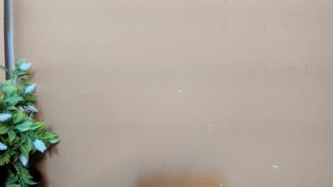 keisy_sanchez online show from February 2026 11:09:02 AM