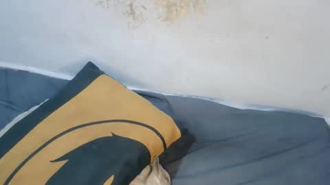 kem2000400282 online show from December 2025 01:51:01 PM