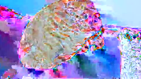 kem2000400282 online show from February 2026 04:02:01 PM