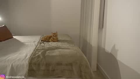 Andrea online show from March 2025 08:23:02 PM