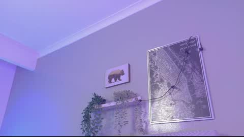   online show from November 2025 11:27:02 AM